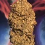 Queen Truffle Cannabis Seeds (3 Pack)